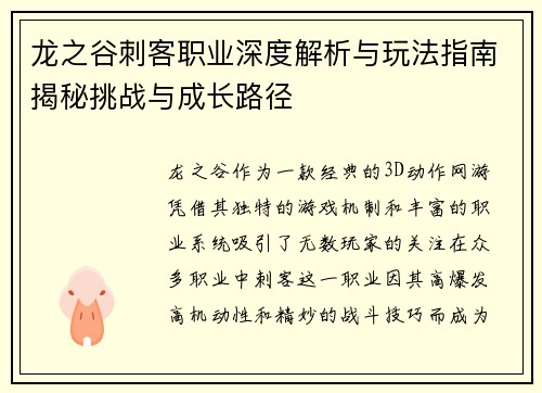 龙之谷刺客职业深度解析与玩法指南揭秘挑战与成长路径